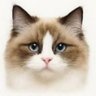 Фото профиля 猫好き
