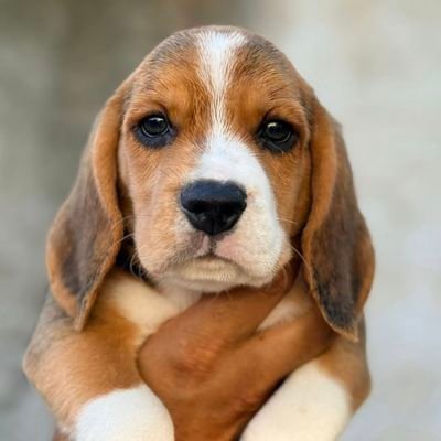 Ricardo_888's profile picture