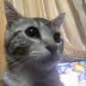Jones's profile picture