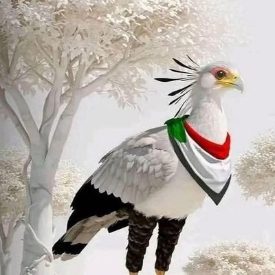 KONAN_BMW's profile picture