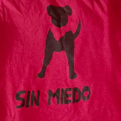 Enrique Fernandez (No tengo presidente)'s profile picture