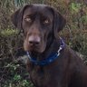 Profilbild von Camp Bucca