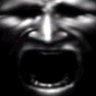 Profilbild von grey_vetiver