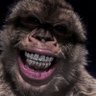 Profilbild von Junior🦍