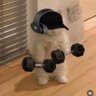 Profilbild von Sid