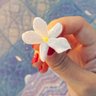 الياسـمين✨🇸🇦's profile picture