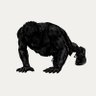 Push Up Hero 的头像