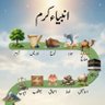Фото профиля Aws Almomani