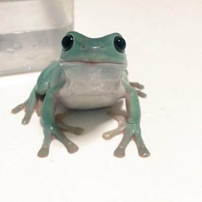 aldenteevol's profile picture