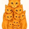 Pera's profile picture