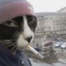 Wuhan Chinaman's profile picture