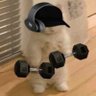 น้องนมเย็นซู่ซ่า profil fotoğrafı