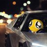 cary profil fotoğrafı