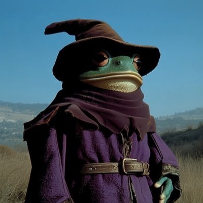 The Frog Mage's profile picture