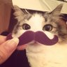 cloudpje's profile picture