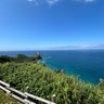 津軽海峡✝️北海道大好きスパゲッティ星人 profil fotoğrafı