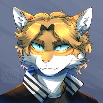 🐱🧶's profile picture