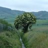 Decrecer_por_la_Biosfera's profile picture
