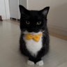 -_- profil fotoğrafı