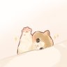 两百十里不换肩🇹🇼🇭🇰🇺🇦's profile picture