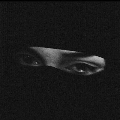🕸️ 𝓟𝓪𝓹𝓲 𝓢𝓪𝓵𝓵 🕷️'s profile picture
