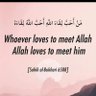 Фото профиля Islamic reminders and clips