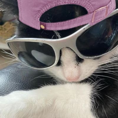 mattvews's profile picture