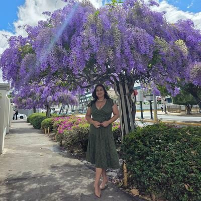 Brenda Moncada's profile picture
