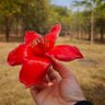 land8848's profile picture