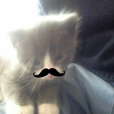Puynun's profile picture