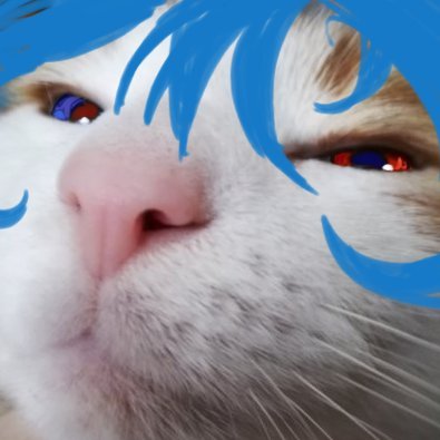 BonbliStar's profile picture