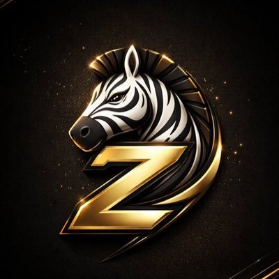 Z_OnBNB's profile picture