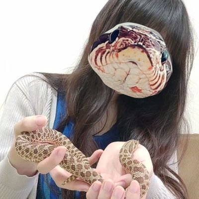 hana_shishi's profile picture