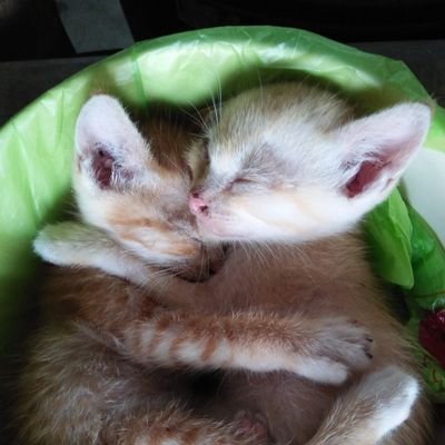 SunyklangM78103's profile picture
