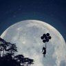 ♡hsosh🦋♡'s profile picture