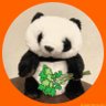 りんこ🐼 的头像