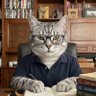 Sr. Gato Di Ze 的头像