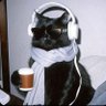 Luciia's profile picture