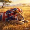 Profilbild von SteFF1973 🏴🇬🇧🇮🇪🏴🏴