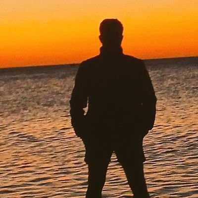 FIRAT SEVKARİ's profile picture