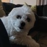 Milly profil fotoğrafı