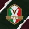 OWWC México 🇲🇽's profile picture