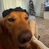 Eddy thumbz's profile picture