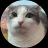 LEO 🫧's profile picture