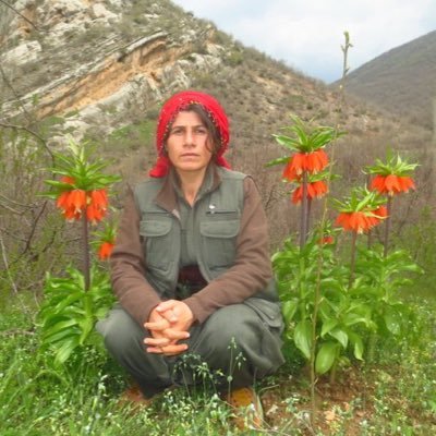 ArattaRoj's profile picture