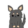 Profilbild von あんぱん