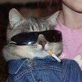eu realmente não esperava isso's profile picture