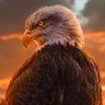 Фото профиля Eagle