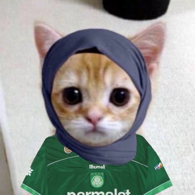good suri's profile picture