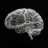 Brainiac_X_77 Brainiac_X_77 的头像